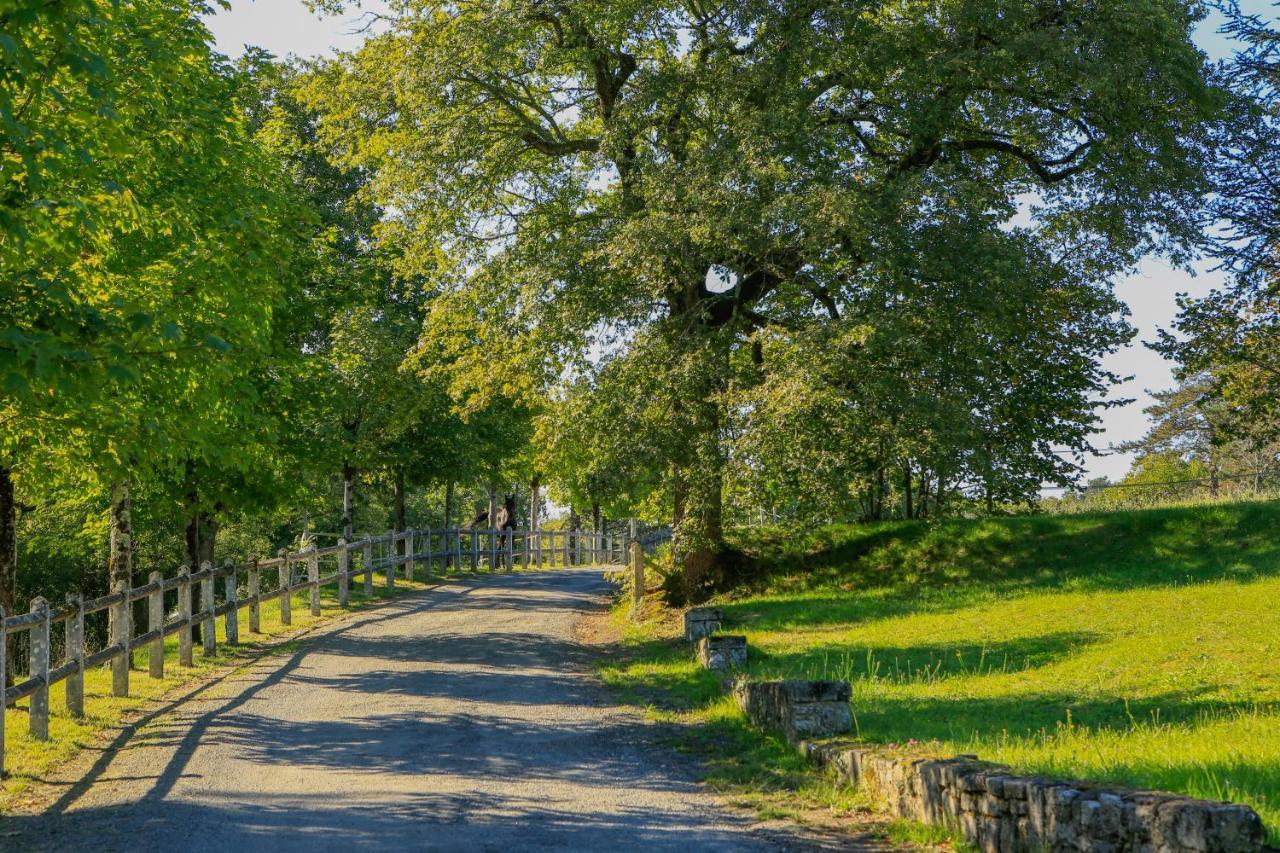 Logis Hotels Domaine Du Chatelard Dirac Dış mekan fotoğraf